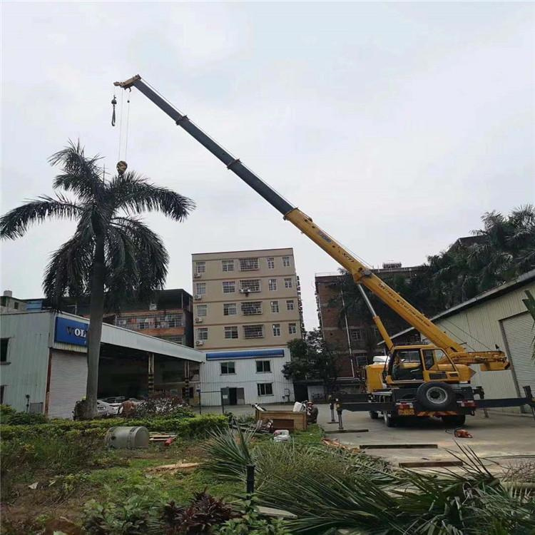 玉林吊车吊大树几种方法